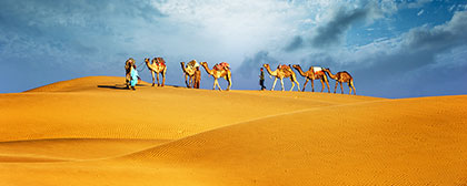 Tunezja - pustynia, wielbłądy, safari